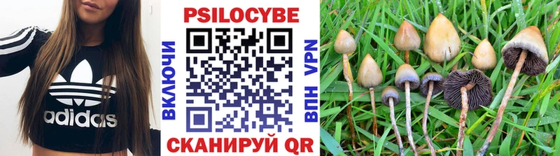 Галлюциногенные грибы Cubensis  Болгар 